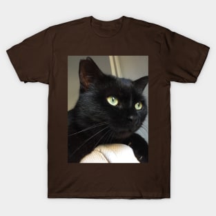 Crockett the cat T-Shirt